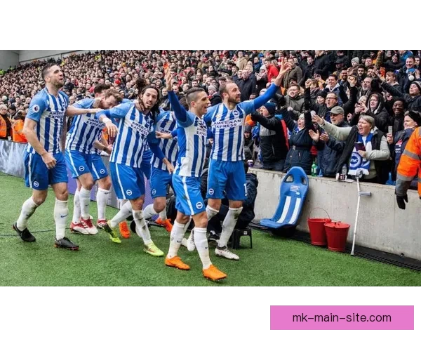 小武什自信宣布下赛季加盟热刺梦想与哥哥共赴汉堡并肩作战成真路